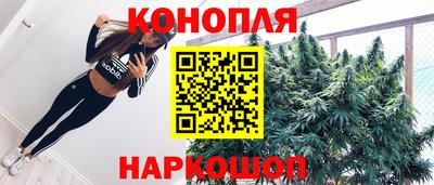 дмт Будённовск