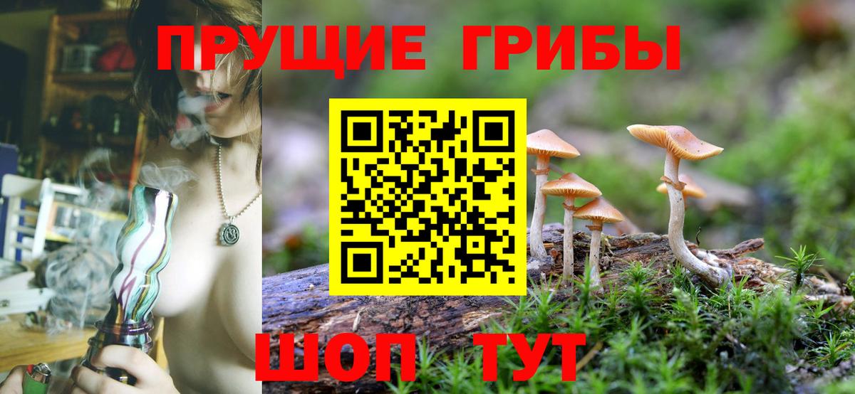 Галлюциногенные грибы ЛСД  Галлюциногенные грибы прущие грибы  продажа наркотиков  Рубцовск  Вход с VPN 