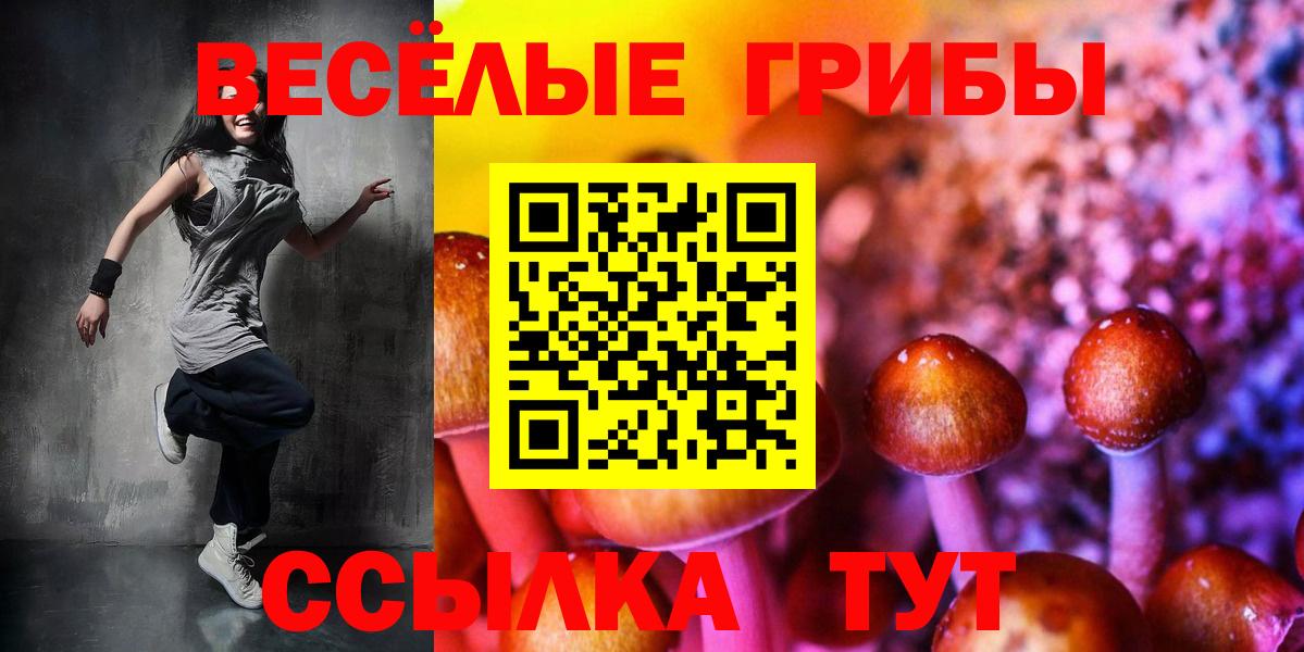 Галлюциногенные грибы Cubensis Рубцовск